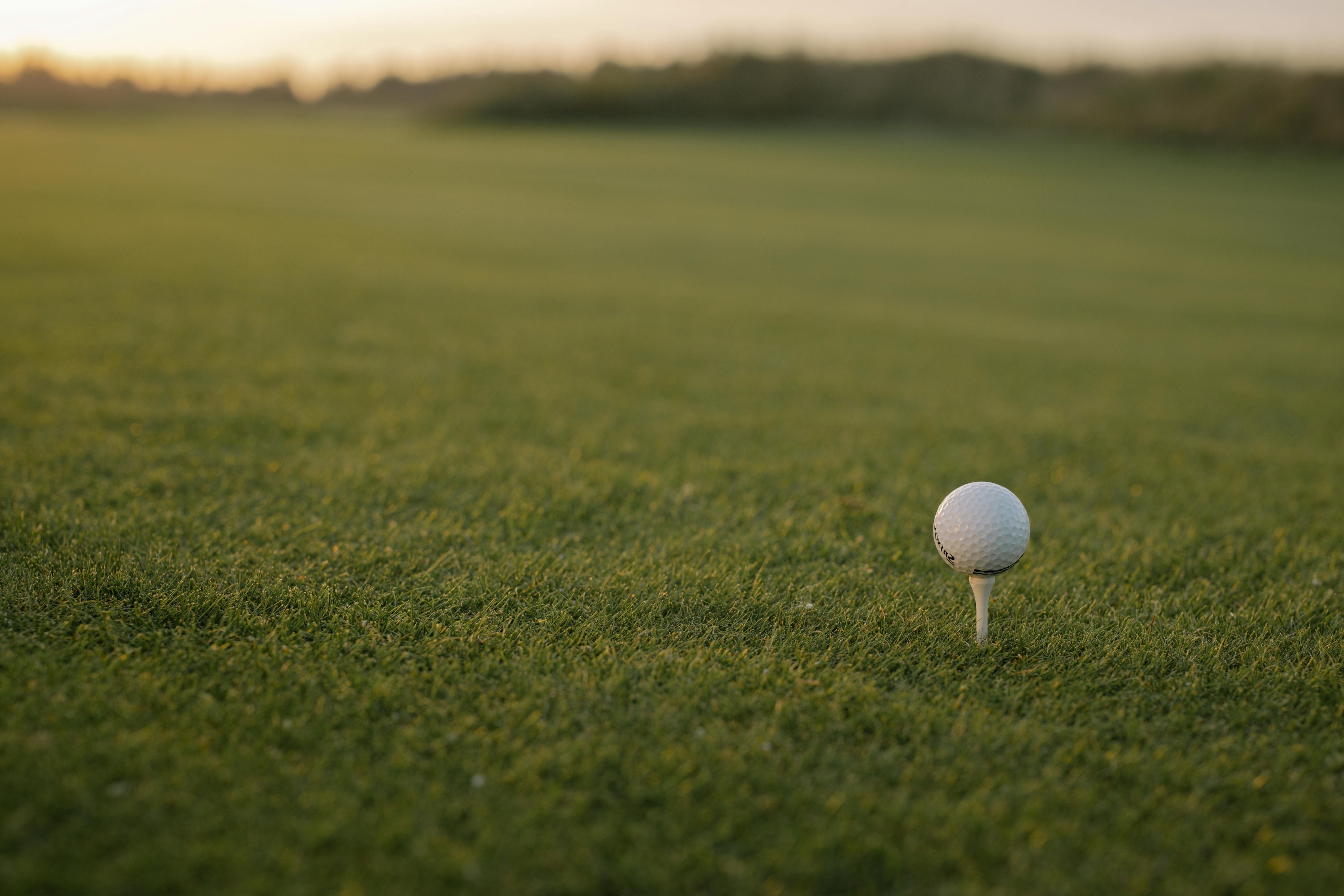 Golf ball on a tee in a grassy field with a blurred background